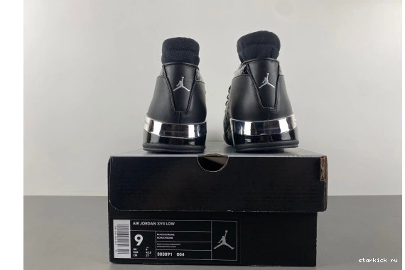 303891-004  Silver 17 303891-004  Jordan Metallic Black 0101